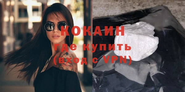 спайс Ладушкин