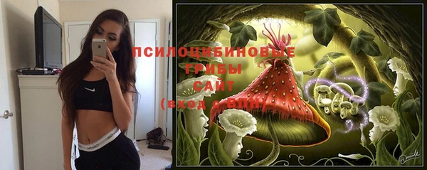 стаф Лагань