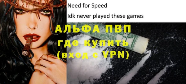 спайс Ладушкин