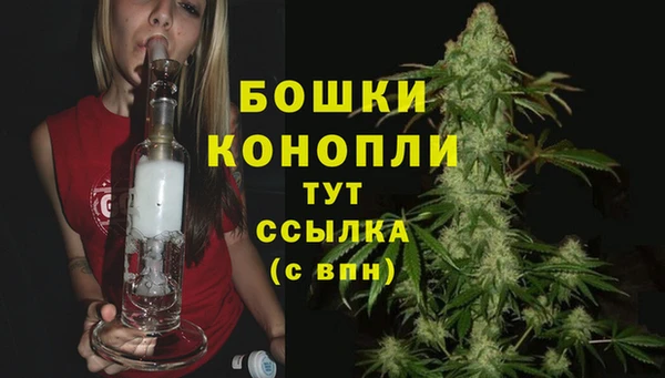 спайс Ладушкин