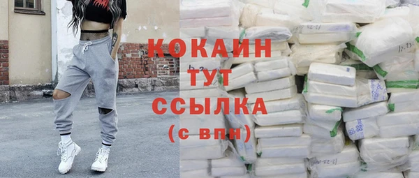 стаф Лагань