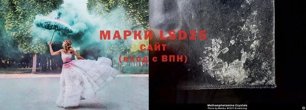 спайс Ладушкин